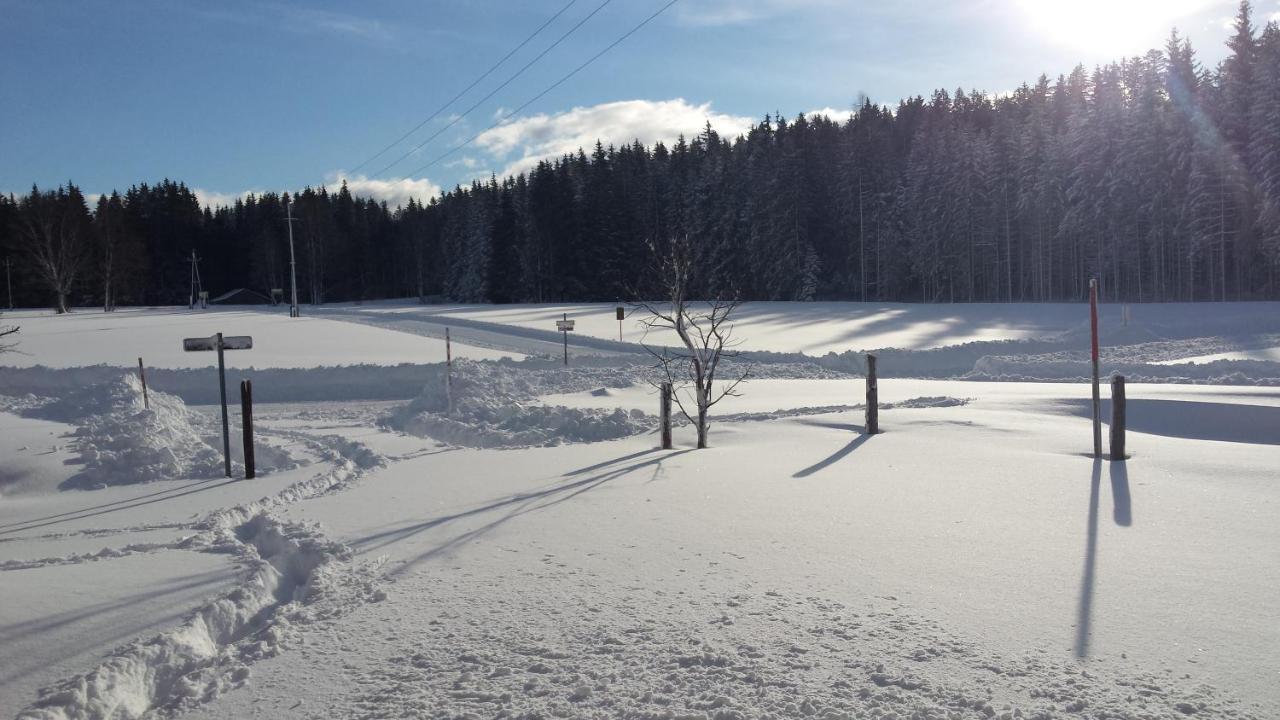 Ferienwohnung Haus Ferienglück Ramsau am Dachstein Exterior foto