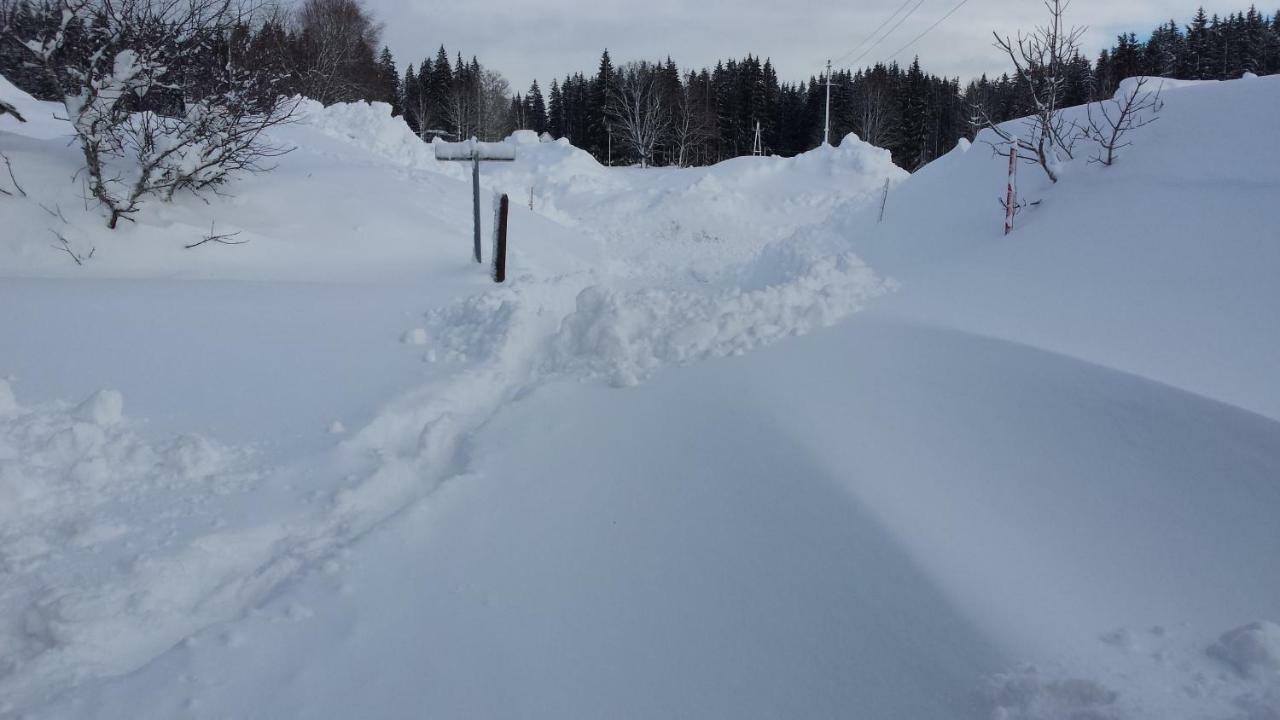 Ferienwohnung Haus Ferienglück Ramsau am Dachstein Exterior foto